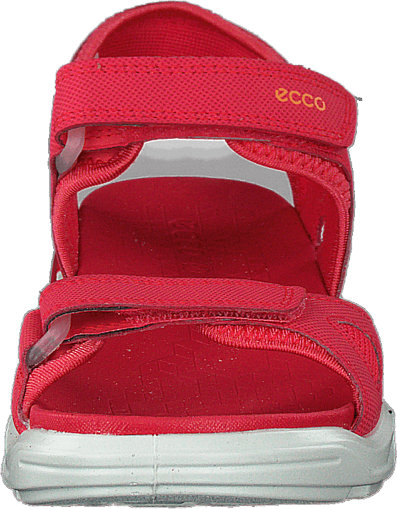 Biom Raft Teaberry