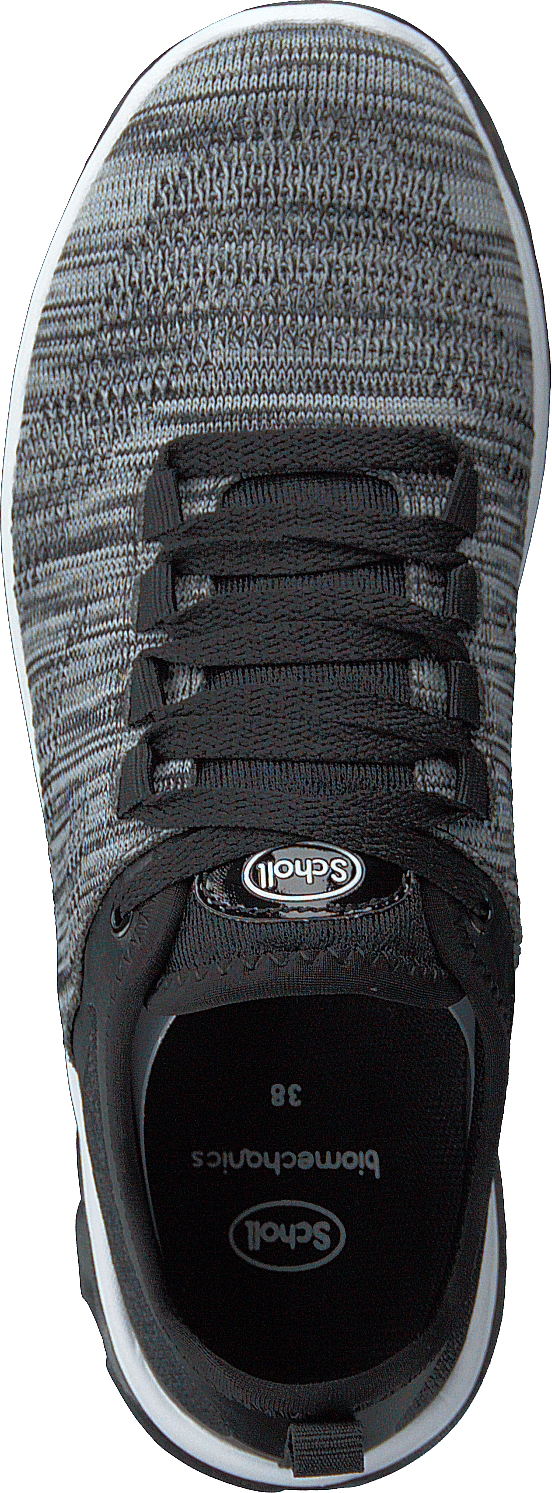 Darwin Black/grey