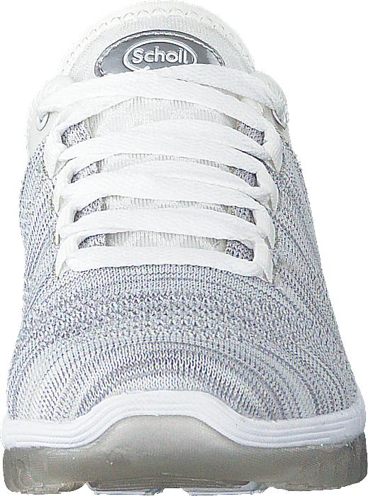 Darwin Lt Grey