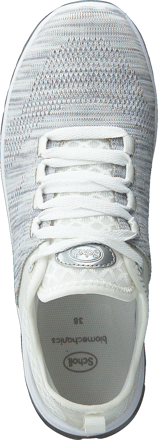 Darwin Lt Grey