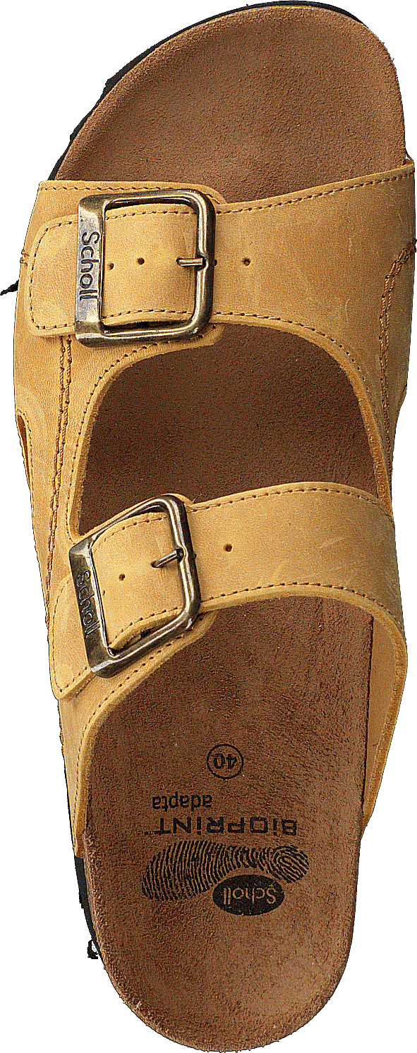 Moldava Tan