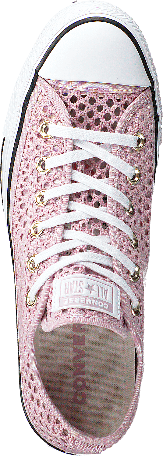 Chuck Taylor All Star Ox Plum Křída/bílá/černá