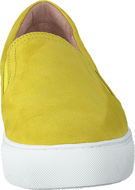 Starlily Yellow