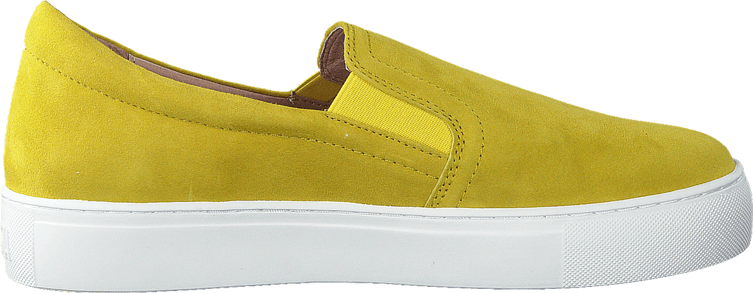 Starlily Yellow