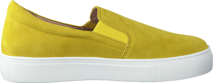 Starlily Yellow