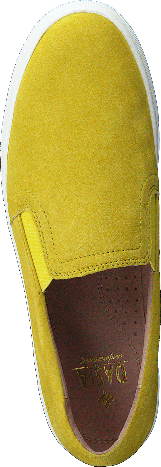 Starlily Yellow