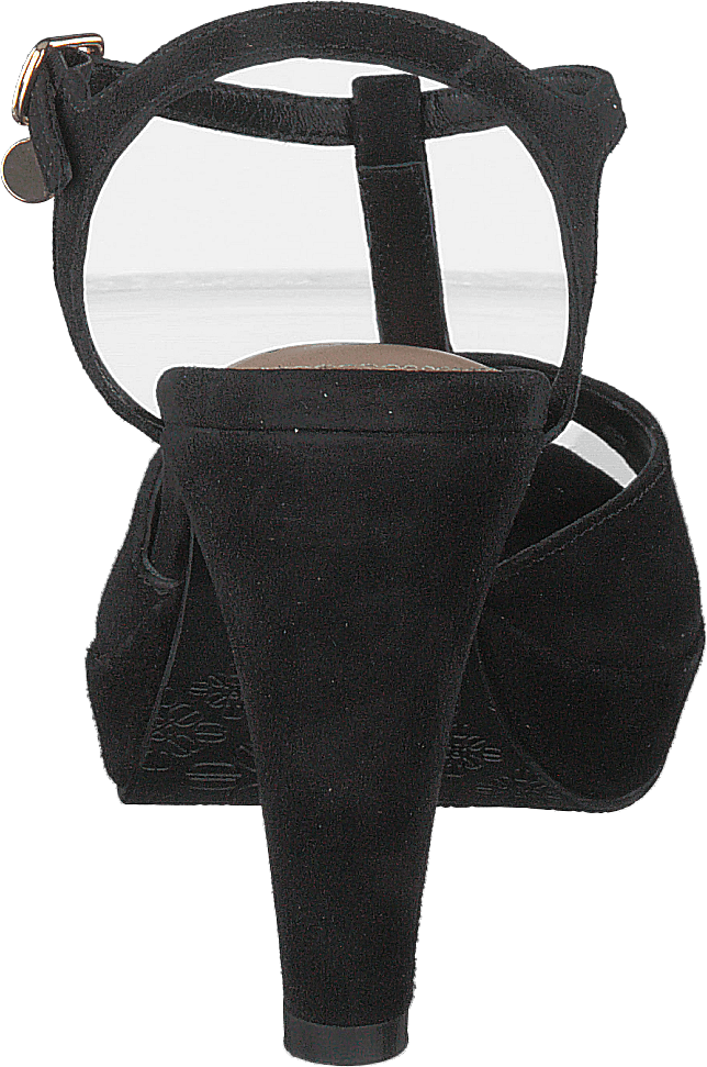 Syringa Black