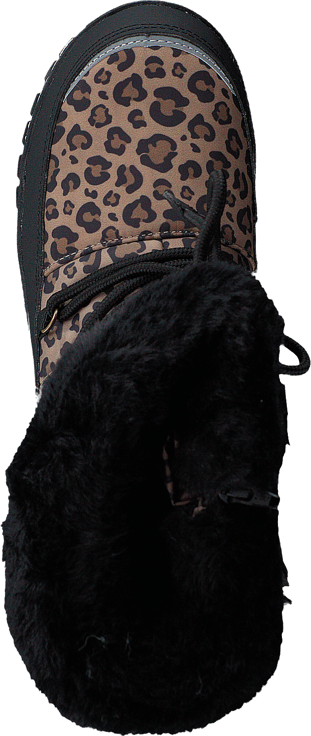 Ysby Leopard