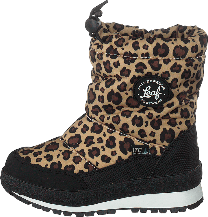 Ilsbo Leopard