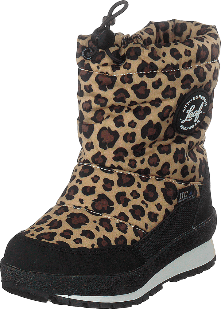 Ilsbo Leopard
