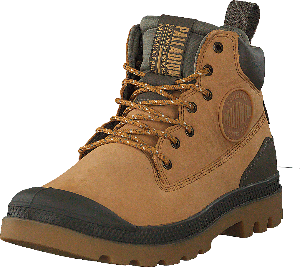 Pampa Sc Outsider Wp+ Amber Gold