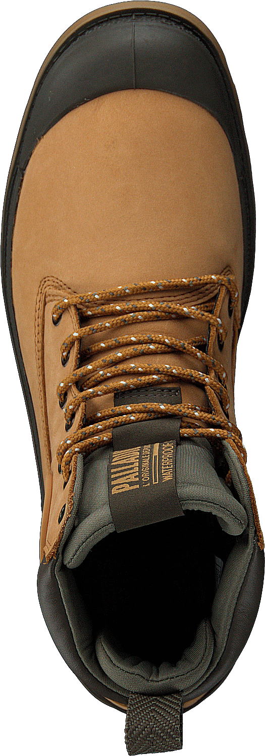 Pampa Sc Outsider Wp+ Amber Gold