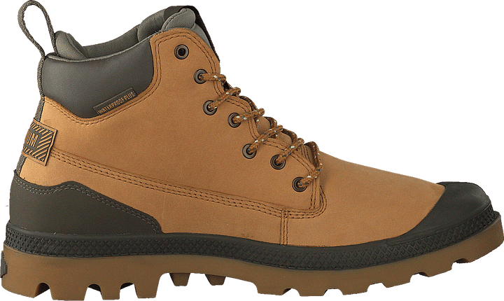 Pampa Sc Outsider Wp+ Amber Gold
