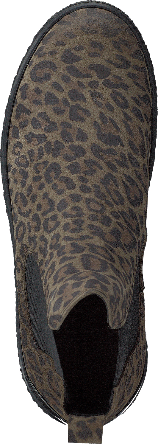 Shallow Olive Leo