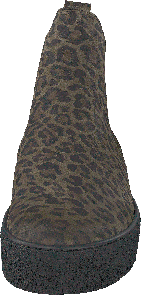 Shallow Olive Leo