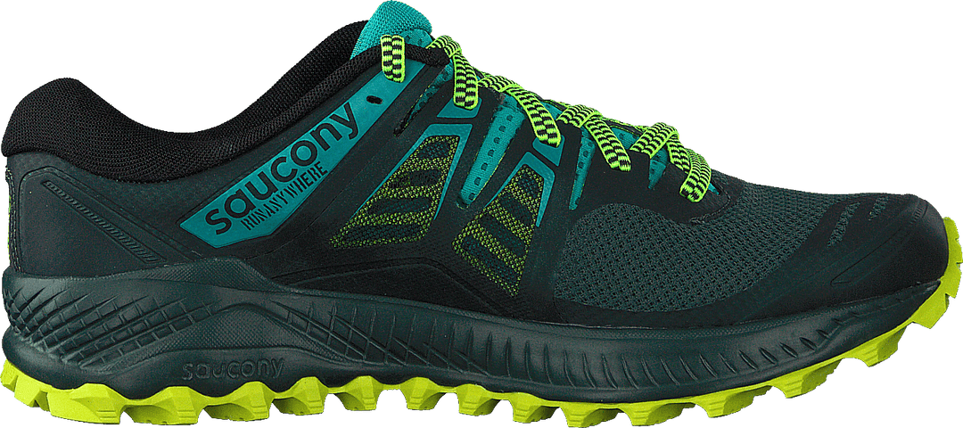 Peregrine Iso Green / Teal