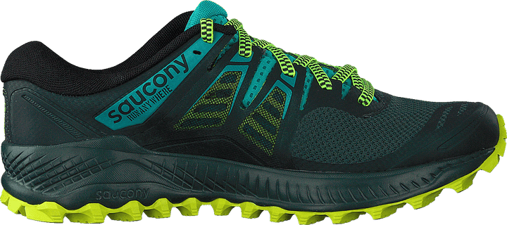 Peregrine Iso Green / Teal