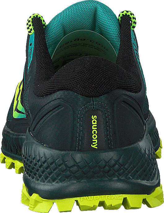 Peregrine Iso Green / Teal