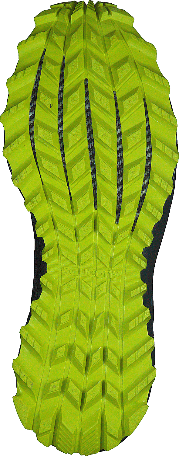 Peregrine Iso Green / Teal