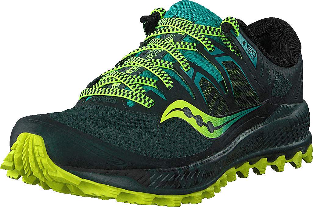 Peregrine Iso Green / Teal