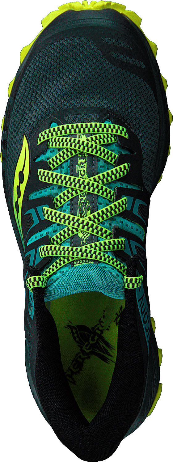 Peregrine Iso Green / Teal