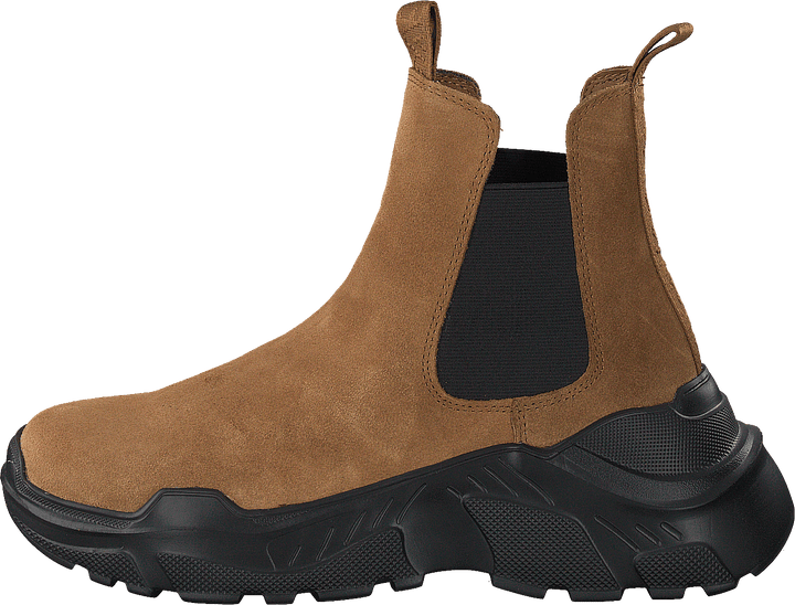 Evil Boot Camel