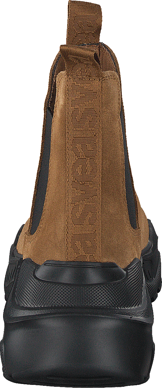 Evil Boot Camel