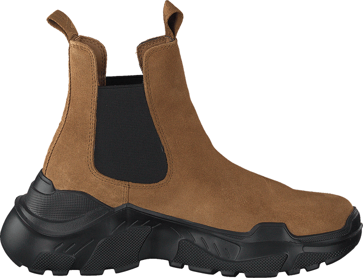 Evil Boot Camel