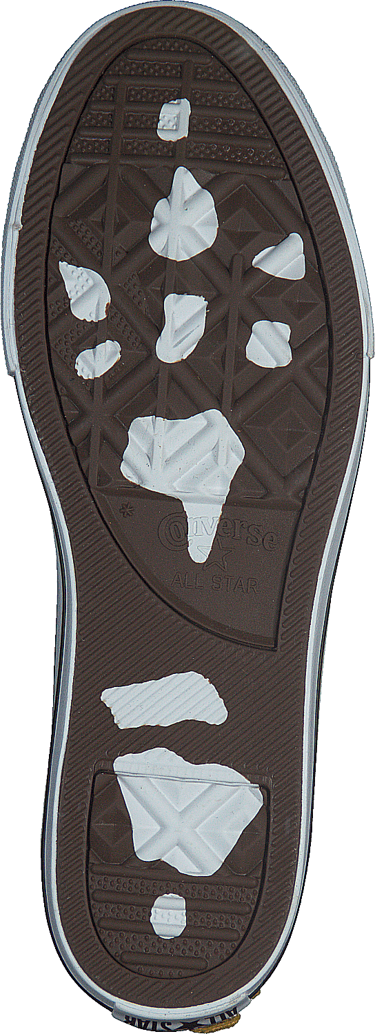 Chuck Taylor All Star Dino Spi Black