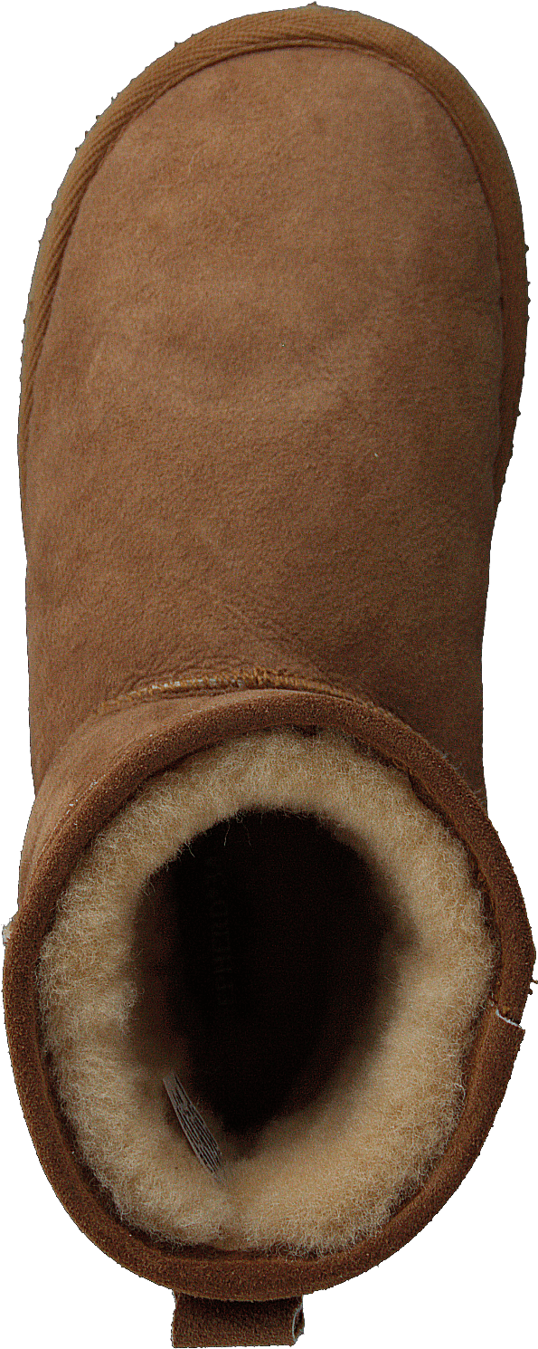 Mora Chestnut