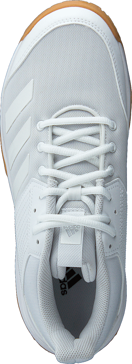Ligra 6 Shoes Cloud White / Cloud White / Gum