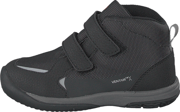 Lepus Black
