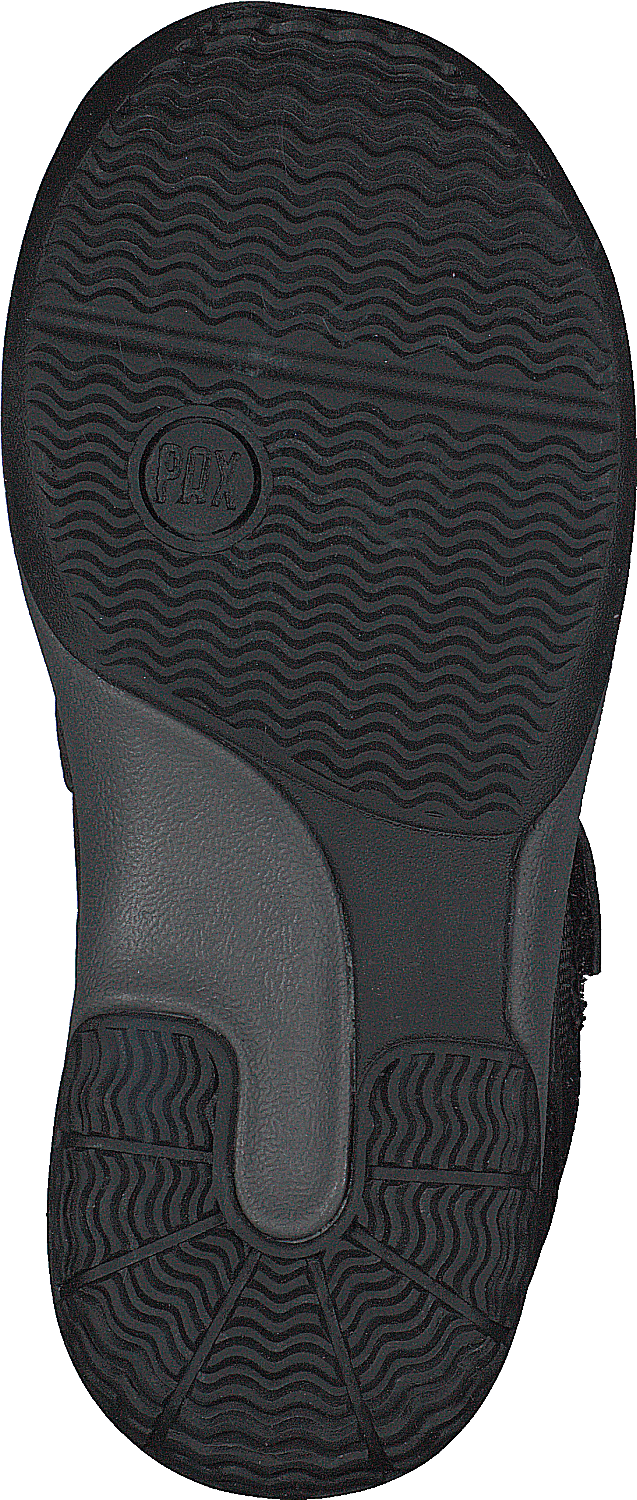 Lepus Black