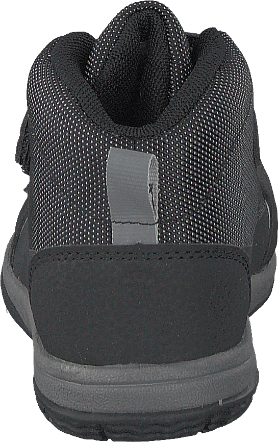 Lepus Black