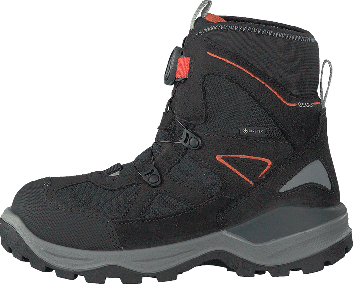 Snow Mountain Black