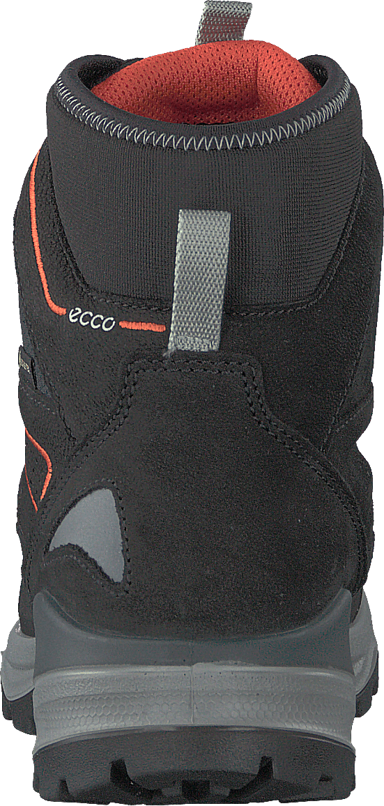Snow Mountain Black