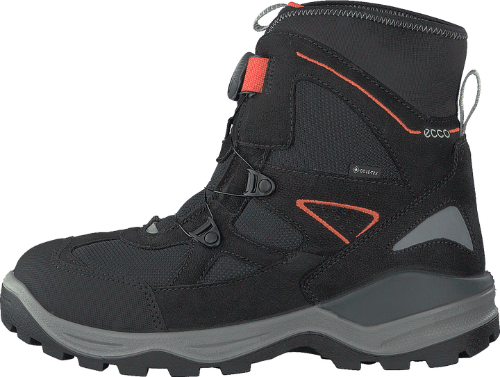 Snow Mountain Black