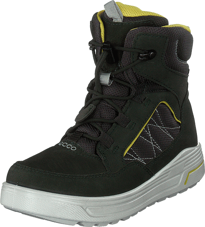 Urban Snowboarder Deep Forest