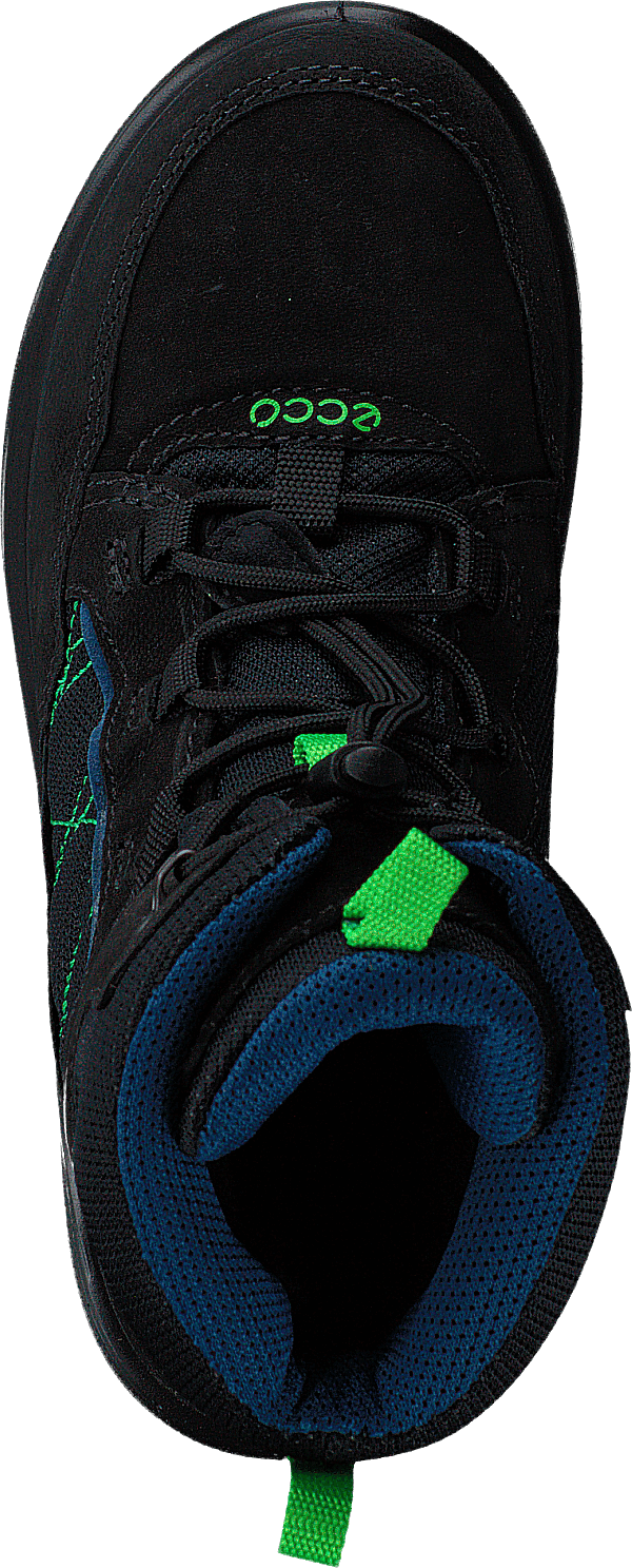Urban Snowboarder Black/poseidon