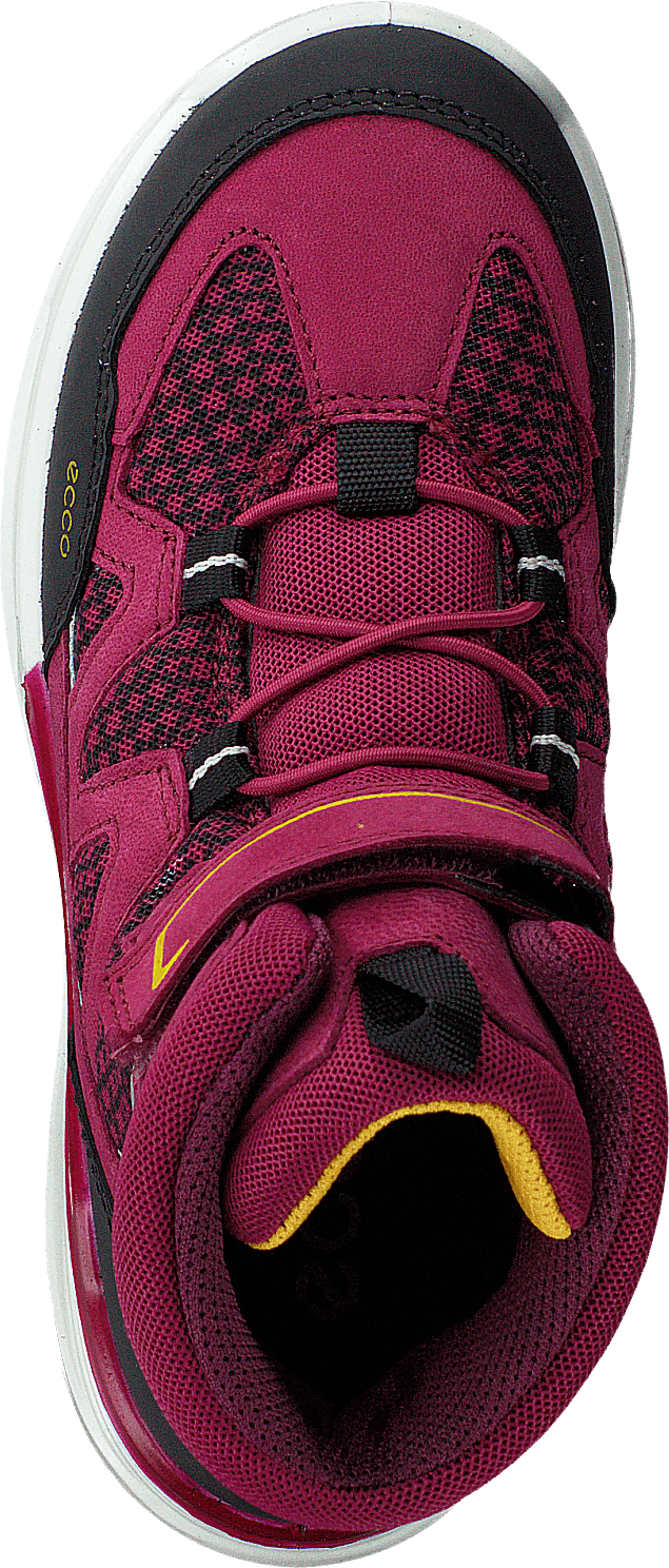 Urban Hiker Black/red Plum
