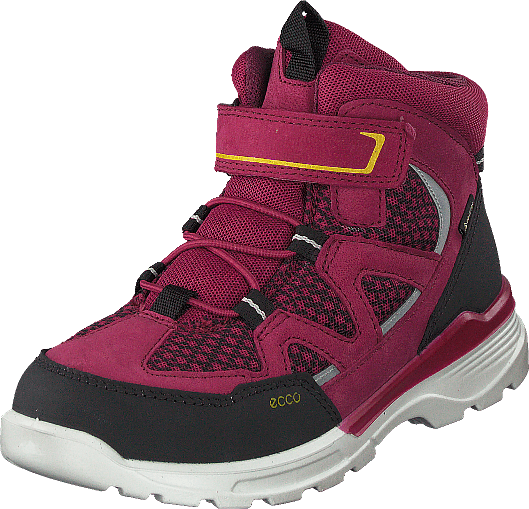 Urban Hiker Black/red Plum