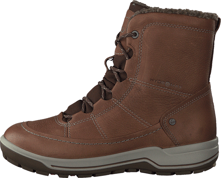 Trace Lite Cocoa Brown