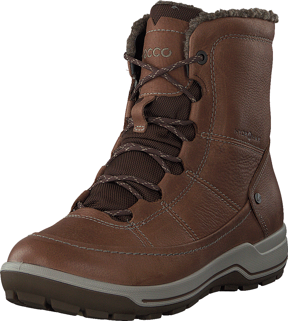 Trace Lite Cocoa Brown