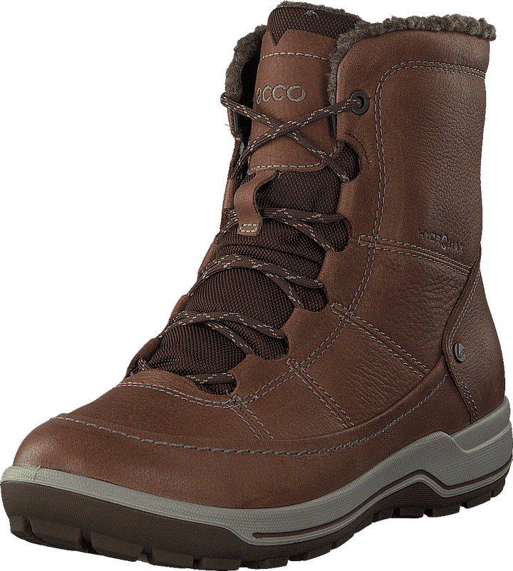 Trace Lite Cocoa Brown