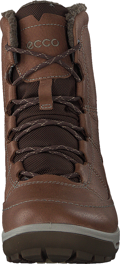 Trace Lite Cocoa Brown