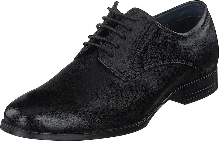 Zenobio Black