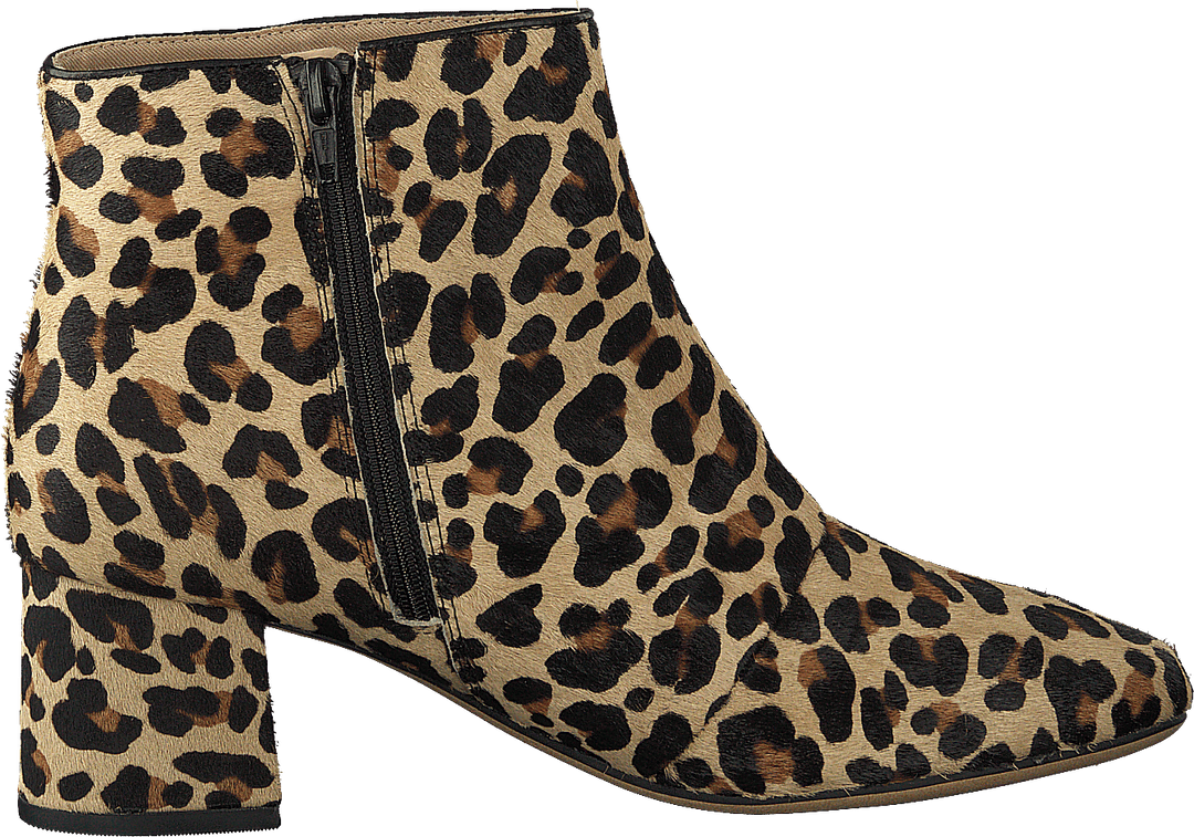 Sheer Flora Leopard Print