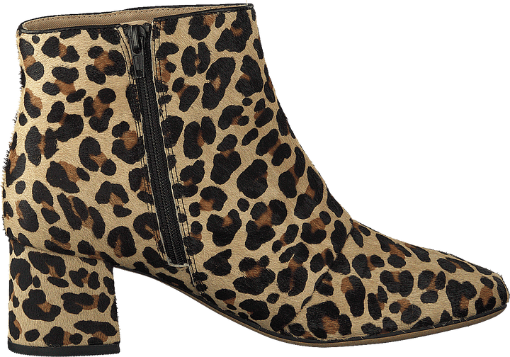 Sheer Flora Leopard Print