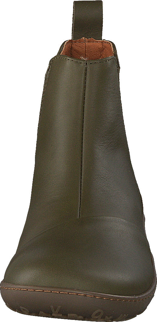 1428 Antibes Erba Kaki