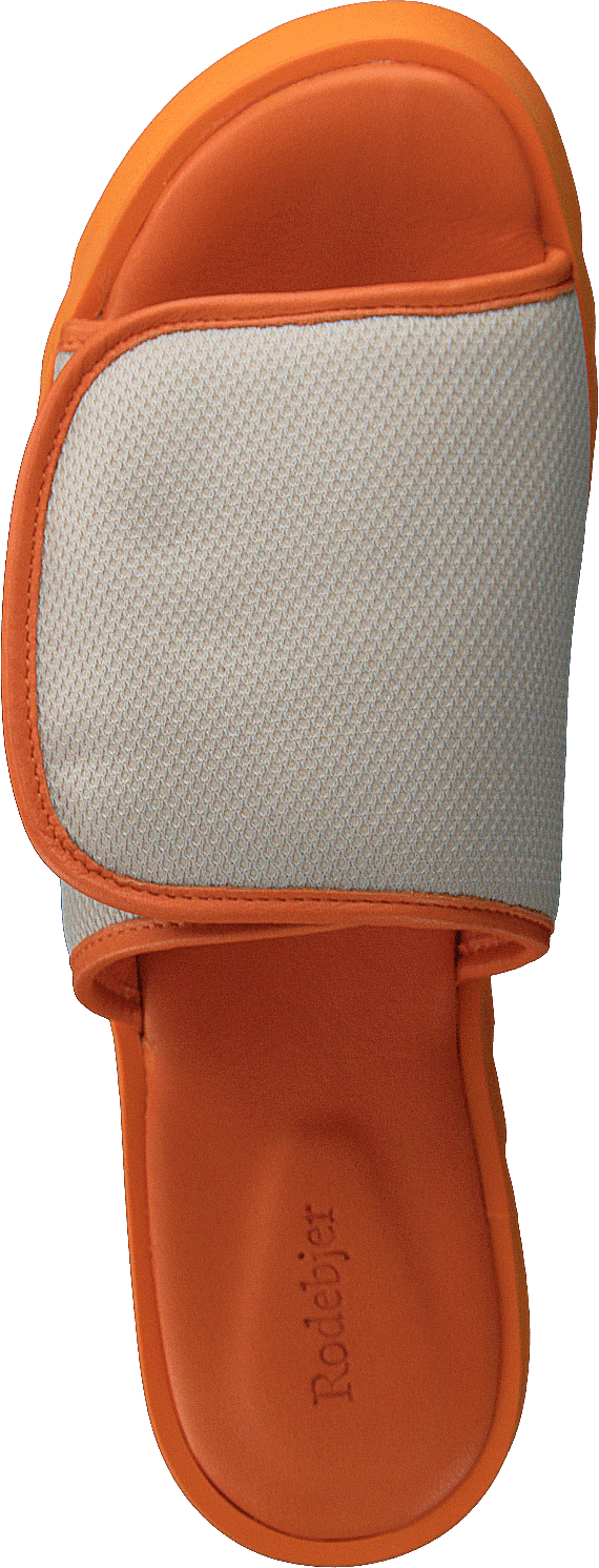 Micki Camel
